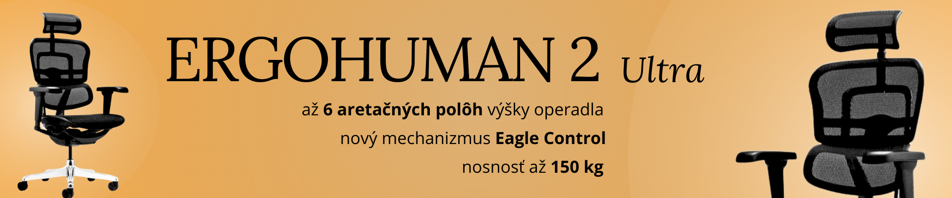2025: Ergohuman 2 Ultra
