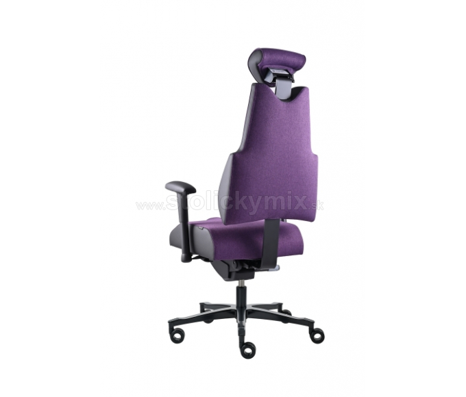 PROWORK Zdravotná stolička Body+