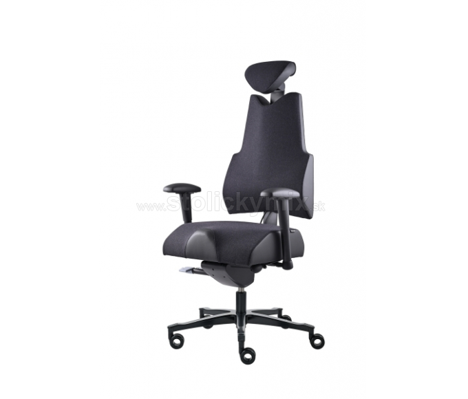 PROWORK Zdravotná stolička Body+