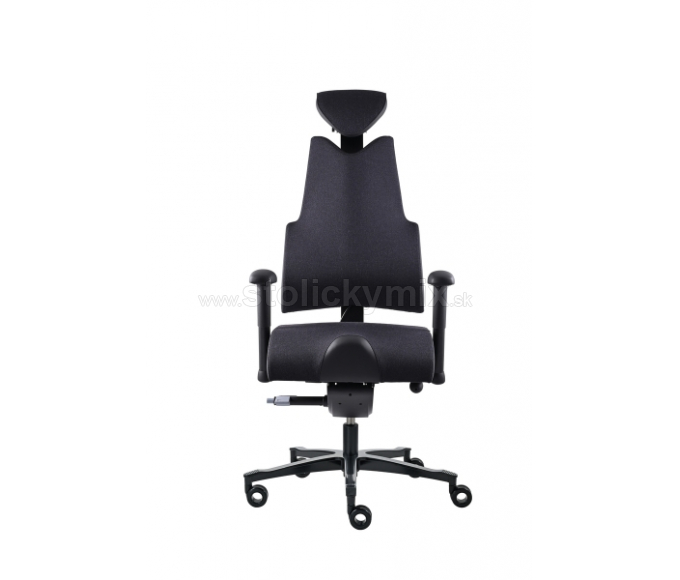 PROWORK Zdravotná stolička Body+