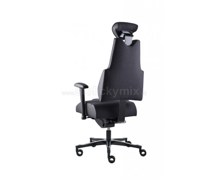 PROWORK Zdravotná stolička Body+