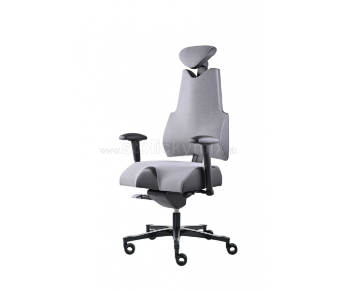PROWORK Zdravotná stolička Body+