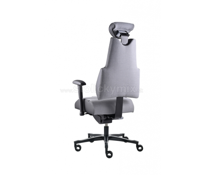 PROWORK Zdravotná stolička Body+