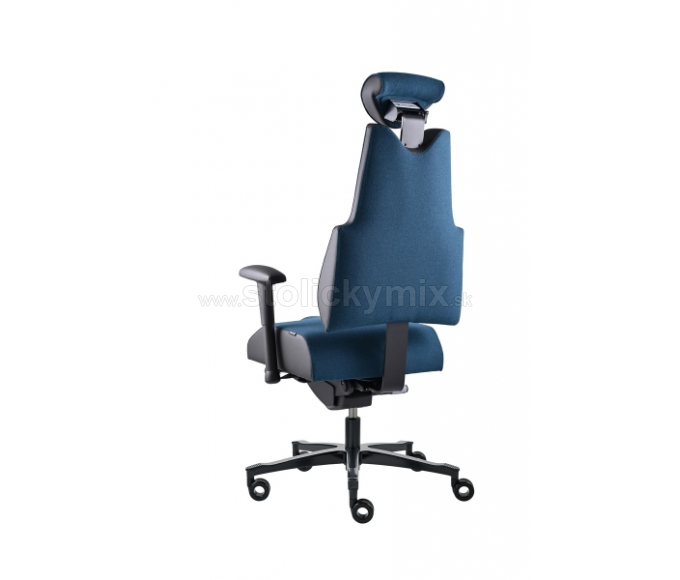 PROWORK Zdravotná stolička Body+