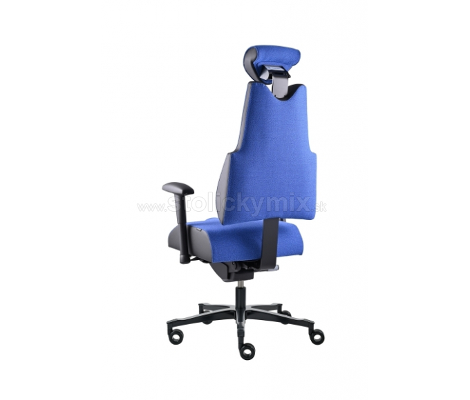 PROWORK Zdravotná stolička Body+