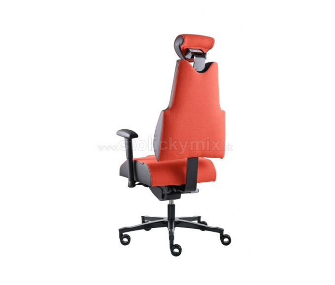 PROWORK Zdravotná stolička Body+