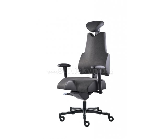 PROWORK Zdravotná stolička Body+