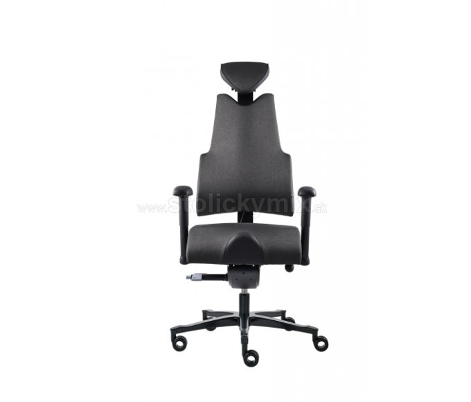 PROWORK Zdravotná stolička Body+