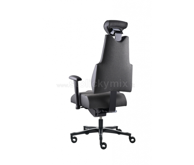 PROWORK Zdravotná stolička Body+