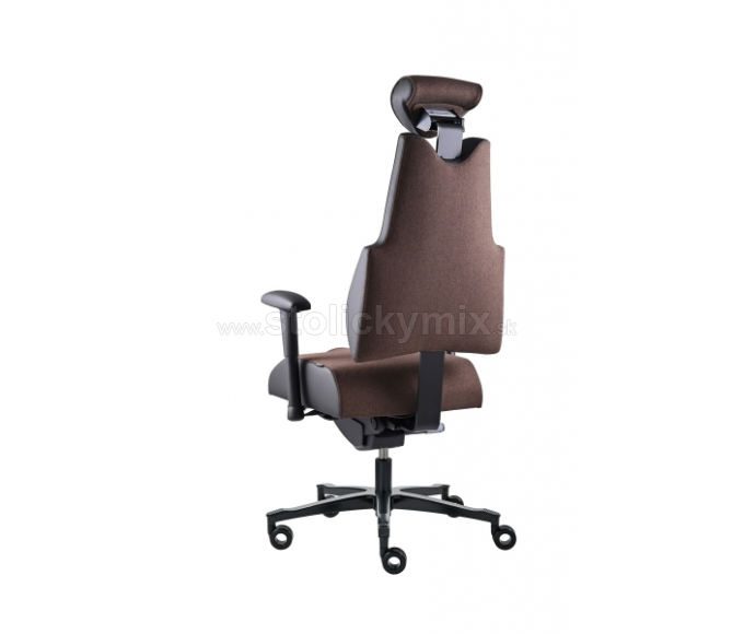 PROWORK Zdravotná stolička Body+