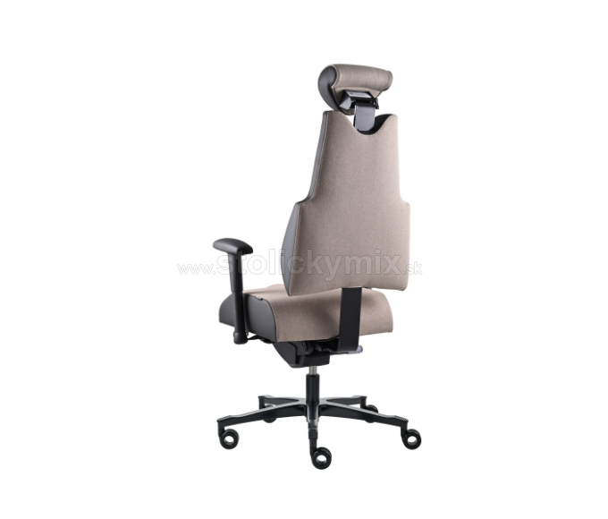 PROWORK Zdravotná stolička Body+