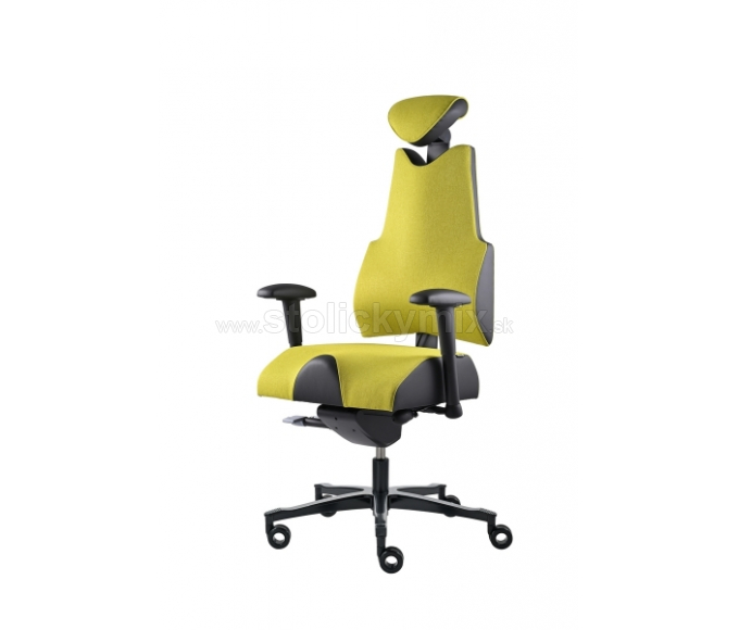 PROWORK Zdravotná stolička Body+
