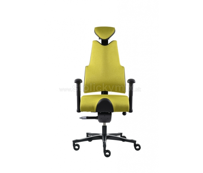 PROWORK Zdravotná stolička Body+