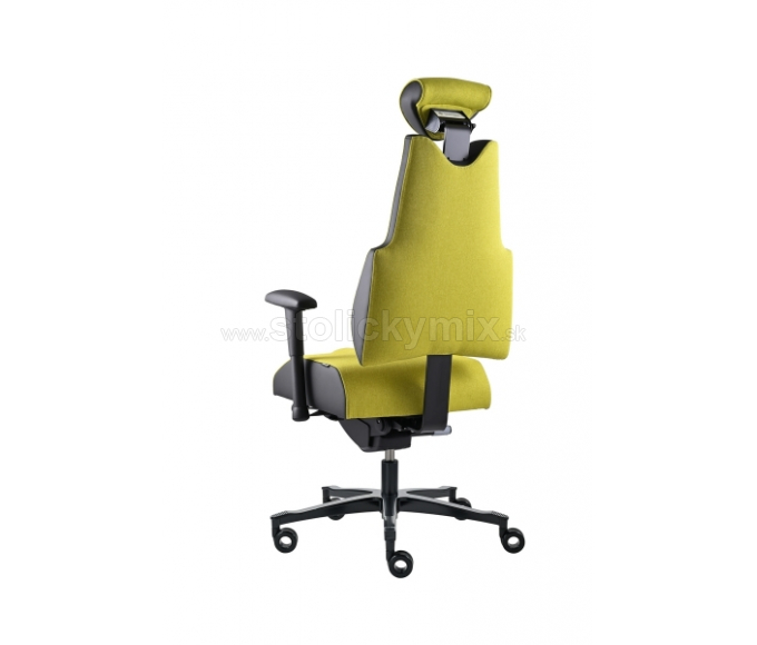 PROWORK Zdravotná stolička Body+