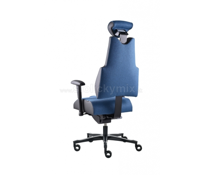 PROWORK Zdravotná stolička Body+