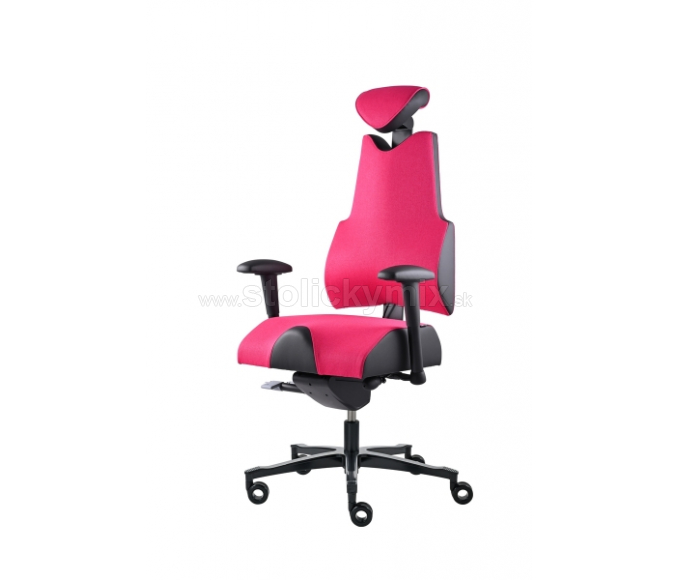 PROWORK Zdravotná stolička Body+