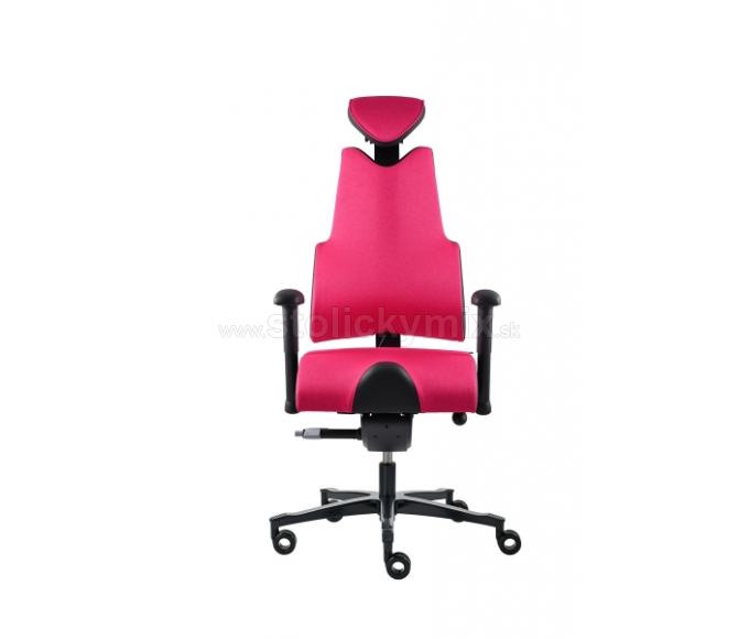 PROWORK Zdravotná stolička Body+