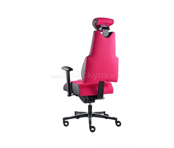PROWORK Zdravotná stolička Body+