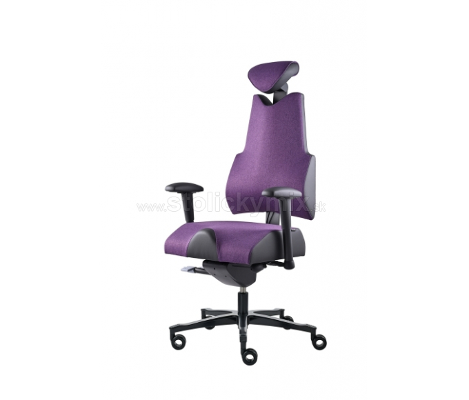 PROWORK Zdravotná stolička Body+