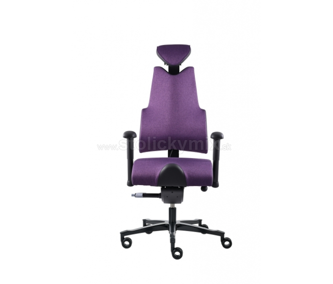 PROWORK Zdravotná stolička Body+