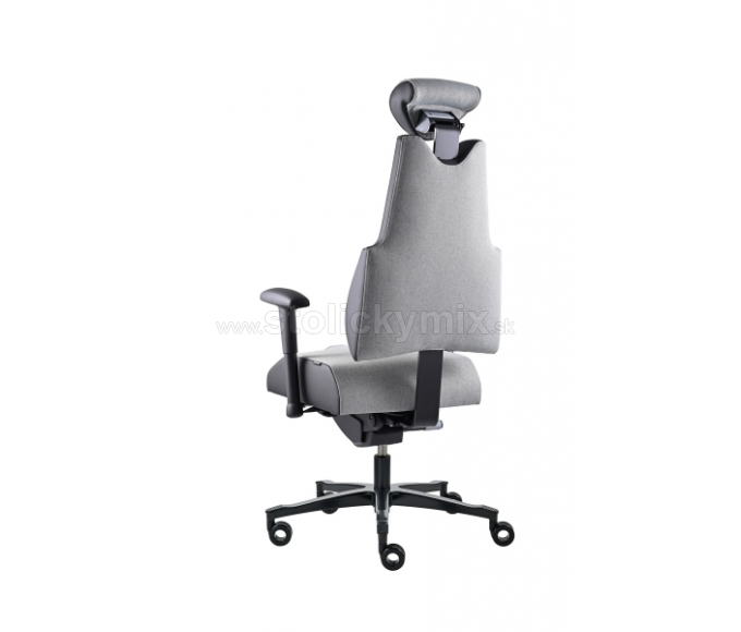 PROWORK Zdravotná stolička Body+