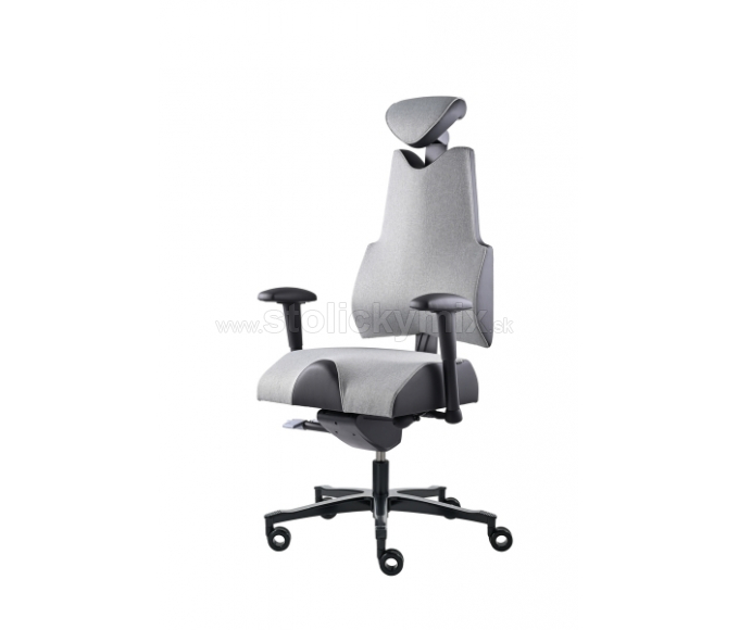 PROWORK Zdravotná stolička Body+