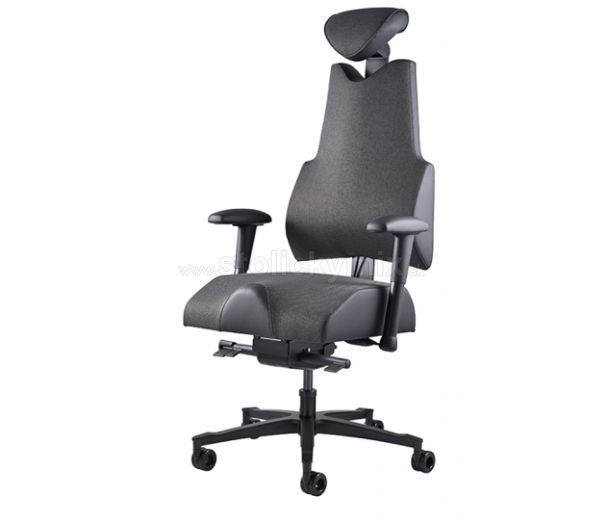 PROWORK Zdravotná stolička Body+EVO XL
