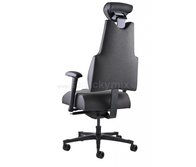 PROWORK Zdravotná stolička Body+EVO XL