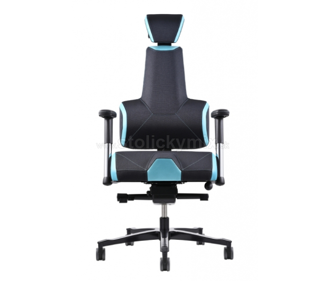 PROWORK Herná zdravotná stolička E+Gamer