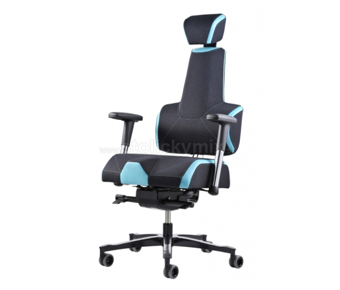 PROWORK Herná zdravotná stolička E+Gamer