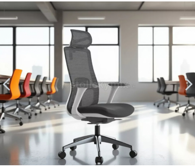 MERCURY Ergonomická stolička WISDOM tmavosivá/sivý plast