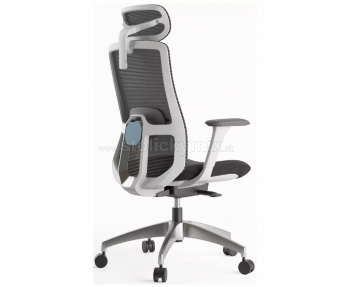 MERCURY Ergonomická stolička WISDOM tmavosivá/sivý plast