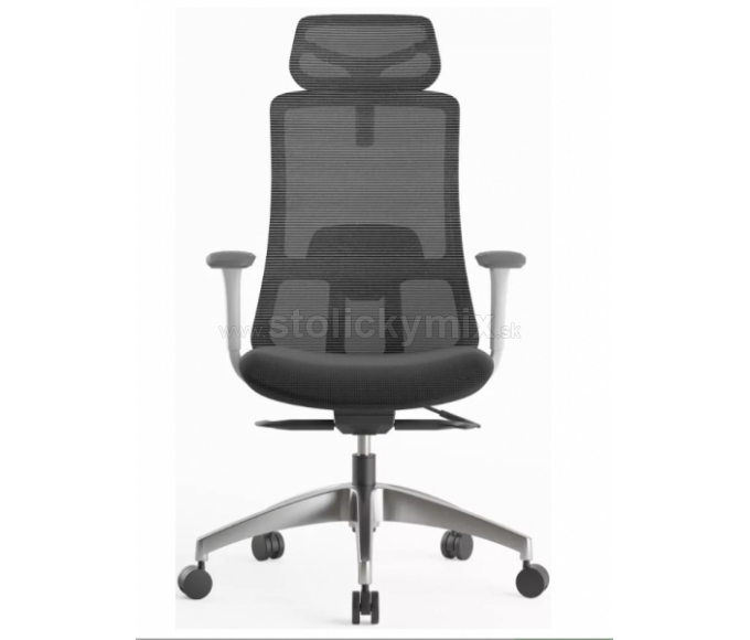 MERCURY Ergonomická stolička WISDOM tmavosivá/sivý plast