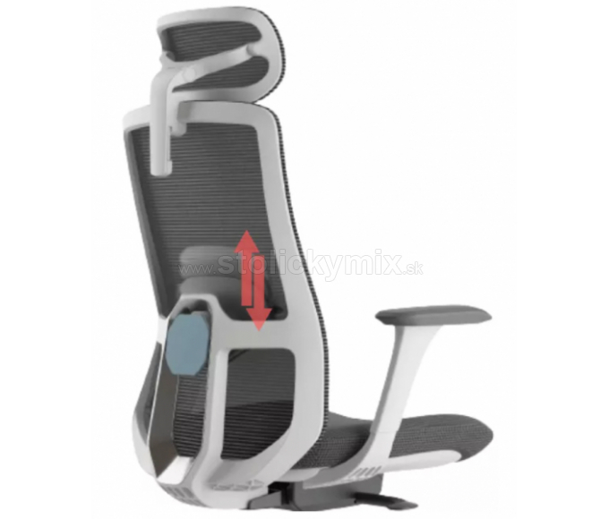 MERCURY Ergonomická stolička WISDOM tmavosivá/sivý plast