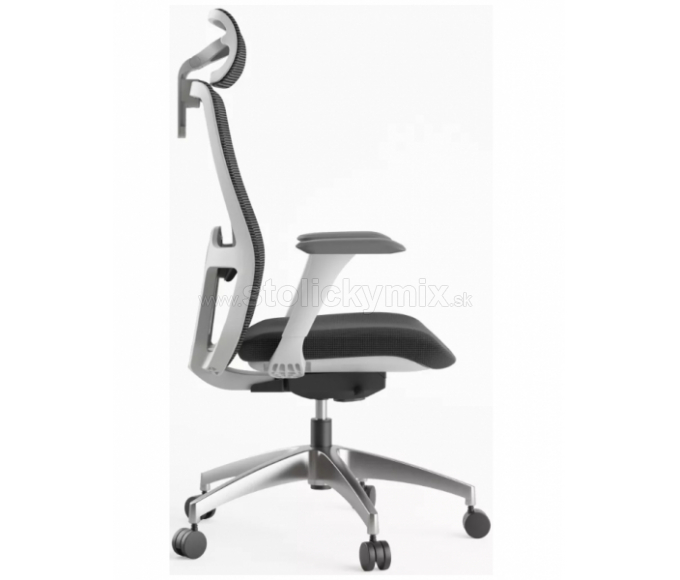 MERCURY Ergonomická stolička WISDOM tmavosivá/sivý plast