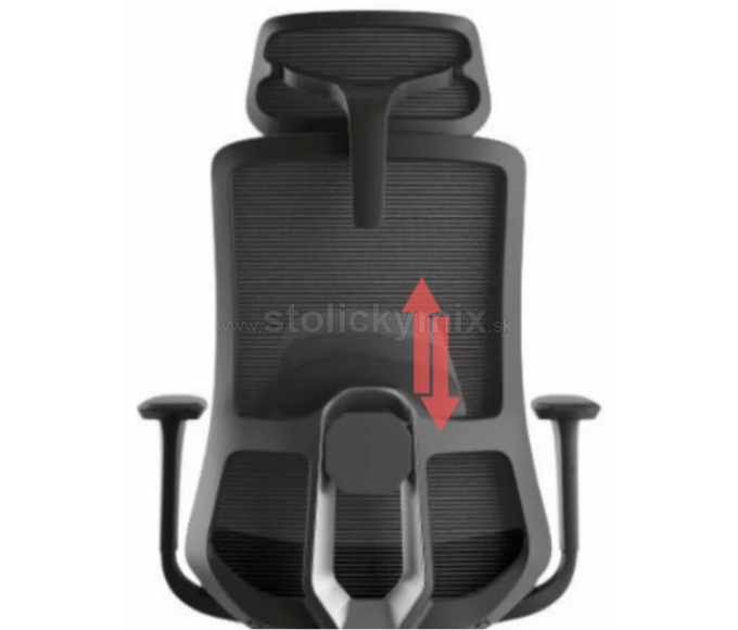 MERCURY Ergonomická stolička WISDOM čierna/čierny plast