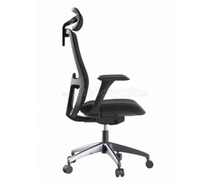 MERCURY Ergonomická stolička WISDOM čierna/čierny plast