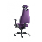 PROWORK Zdravotná stolička Body+