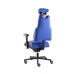 PROWORK Zdravotná stolička Body+