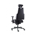 PROWORK Zdravotná stolička Body+