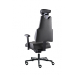 PROWORK Zdravotná stolička Body+