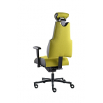 PROWORK Zdravotná stolička Body+