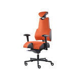 PROWORK Zdravotná stolička Body+