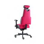 PROWORK Zdravotná stolička Body+