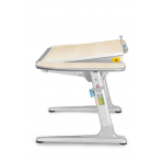 Detský rastúci stôl MAYER Young College PROFI3 32P3 54 TW<br />
