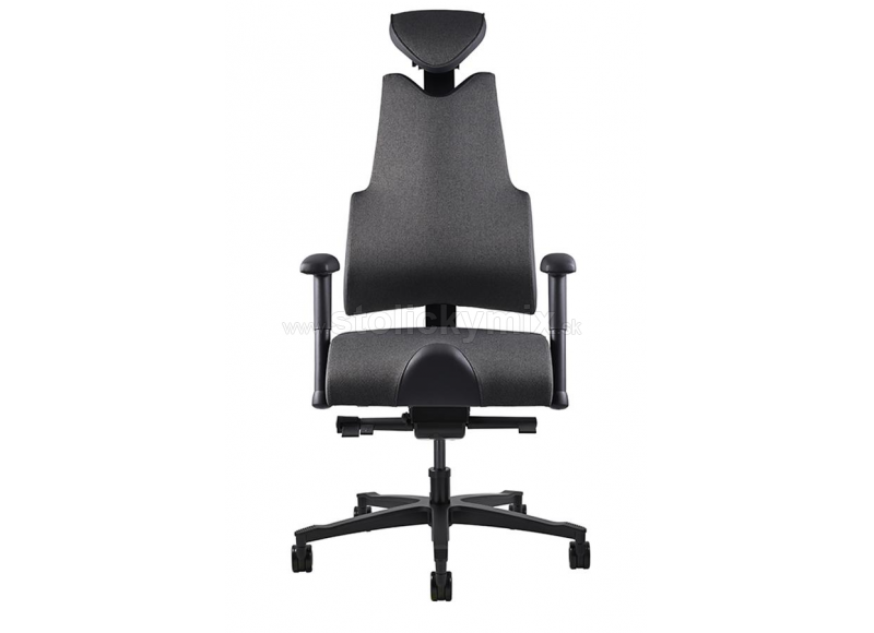 PROWORK Zdravotná stolička Body+EVO XL