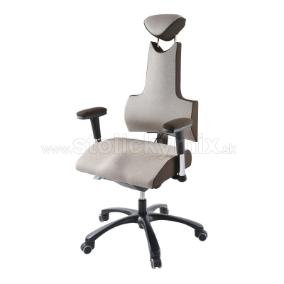 PROWORK Zdravotná ergonomická stolička THERAPIA ENERGY XL COM 4510